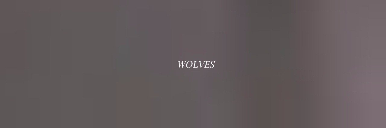 copyofgomez's profile banner image