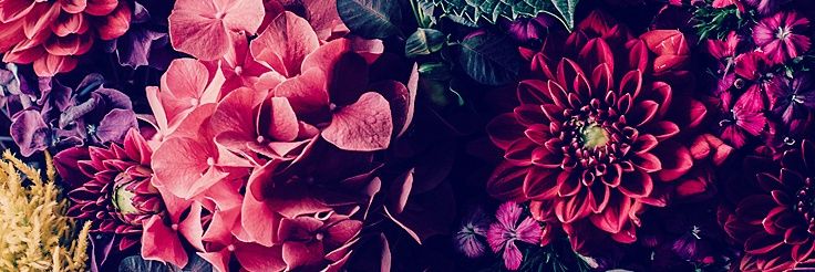 ErikaOhHello's profile banner image