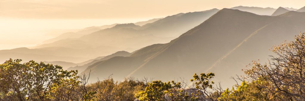 vitagraphia's profile banner image