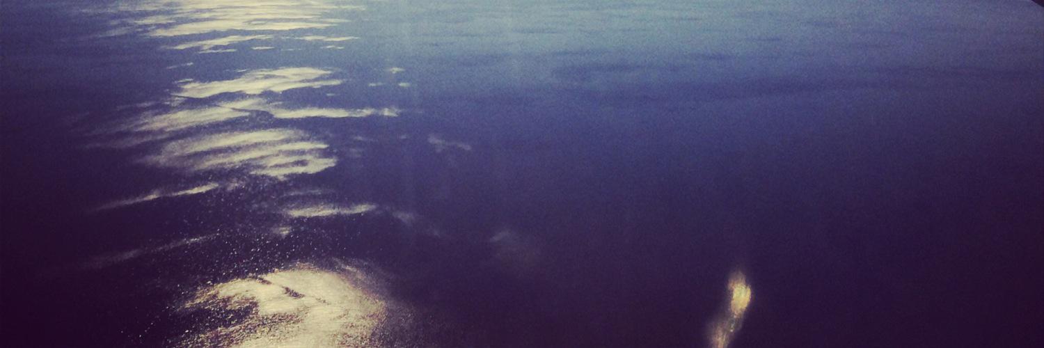 DLNYsays's profile banner image