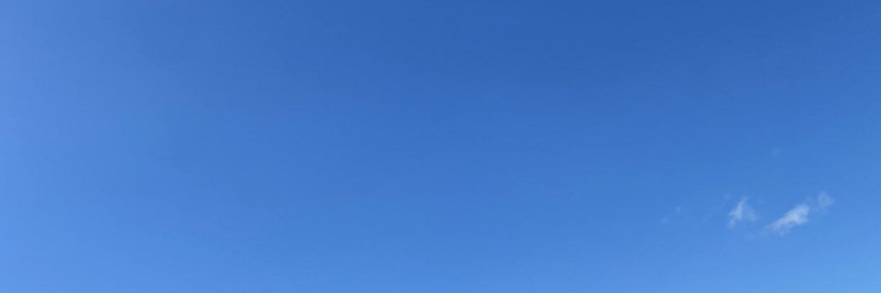 muthoni__kuria's profile banner image