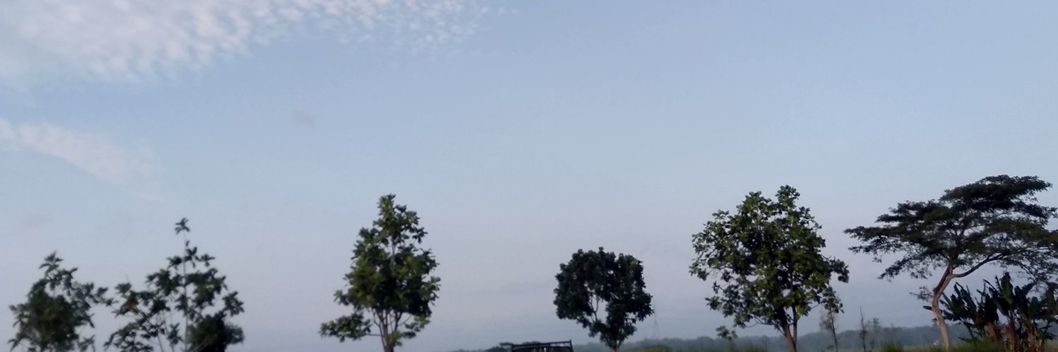 anisakaye's profile banner image
