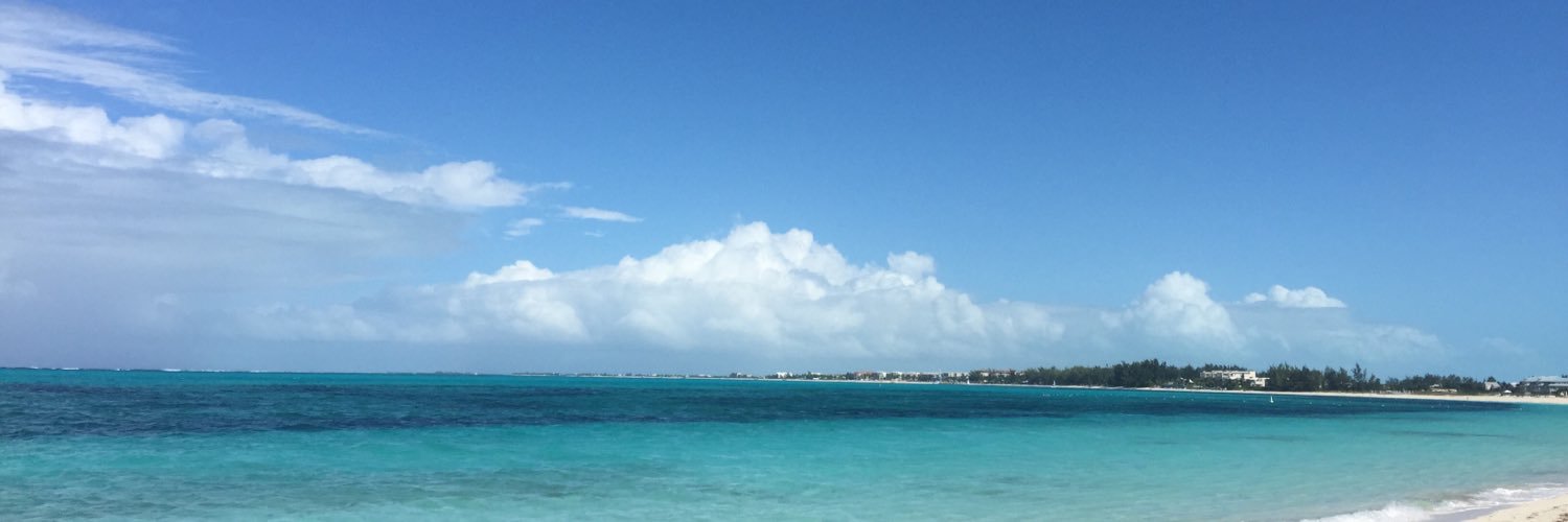 Lululiley's profile banner image