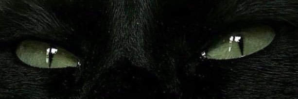 RightHandSplash's profile banner image