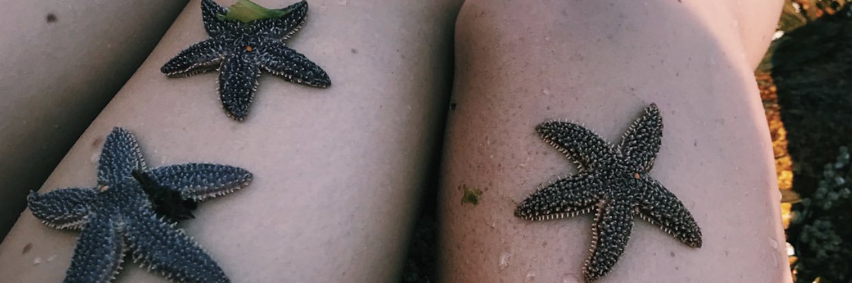 laur_shea's profile banner image