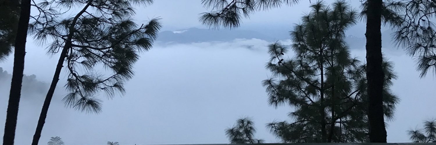 vaishali sood banner