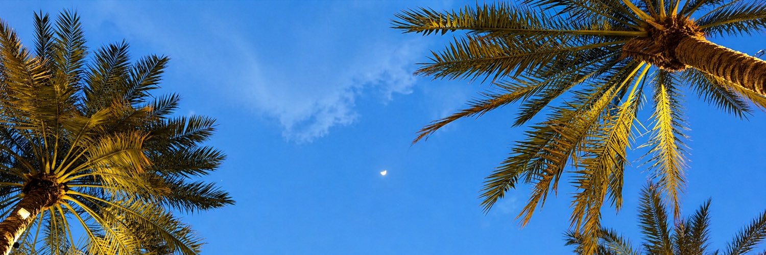 flyingSultan's profile banner image