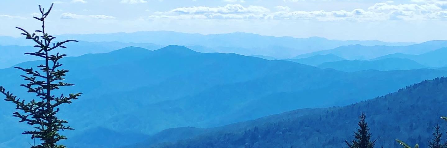 kdabel's profile banner image