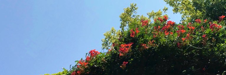 nads___12's profile banner image