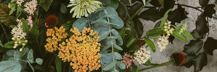 charcanning_'s profile banner image