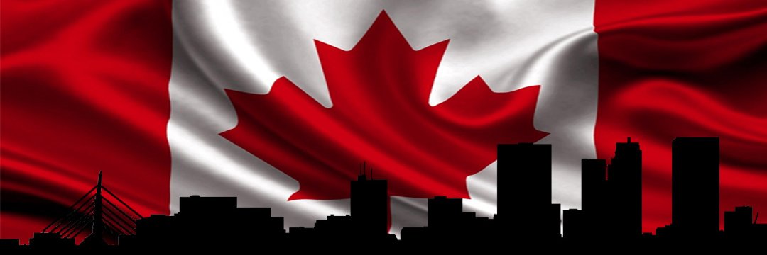 The Grumpy Gorilla 🇨🇦🦍👊 banner