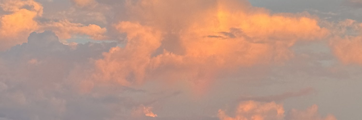 Makskinner's profile banner image