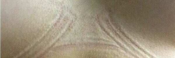 lunaenpluton's profile banner image