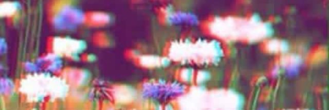 heyydanny's profile banner image