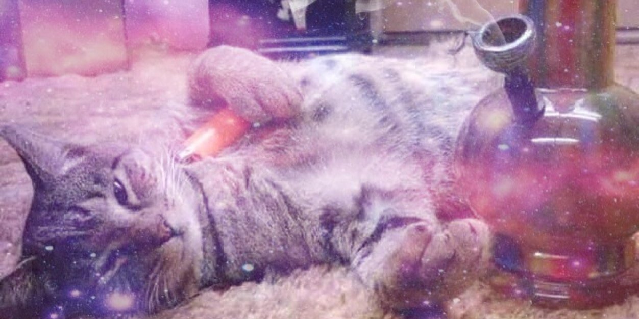 katiequintern's profile banner image