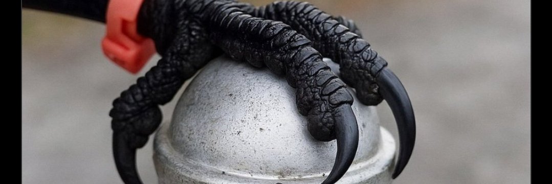 Blue Phoenix  banner