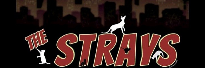 TheRealStrays's profile banner image