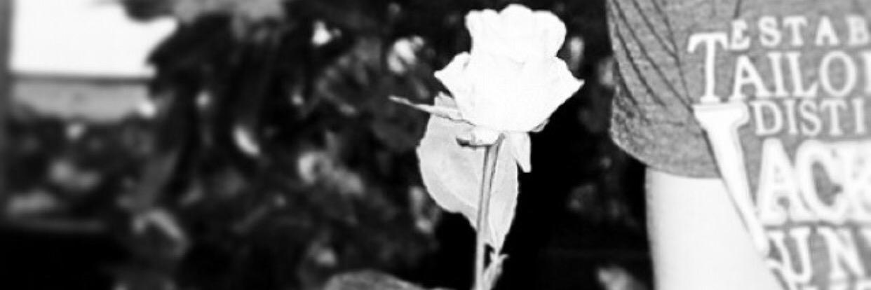 SoofyLady's profile banner image