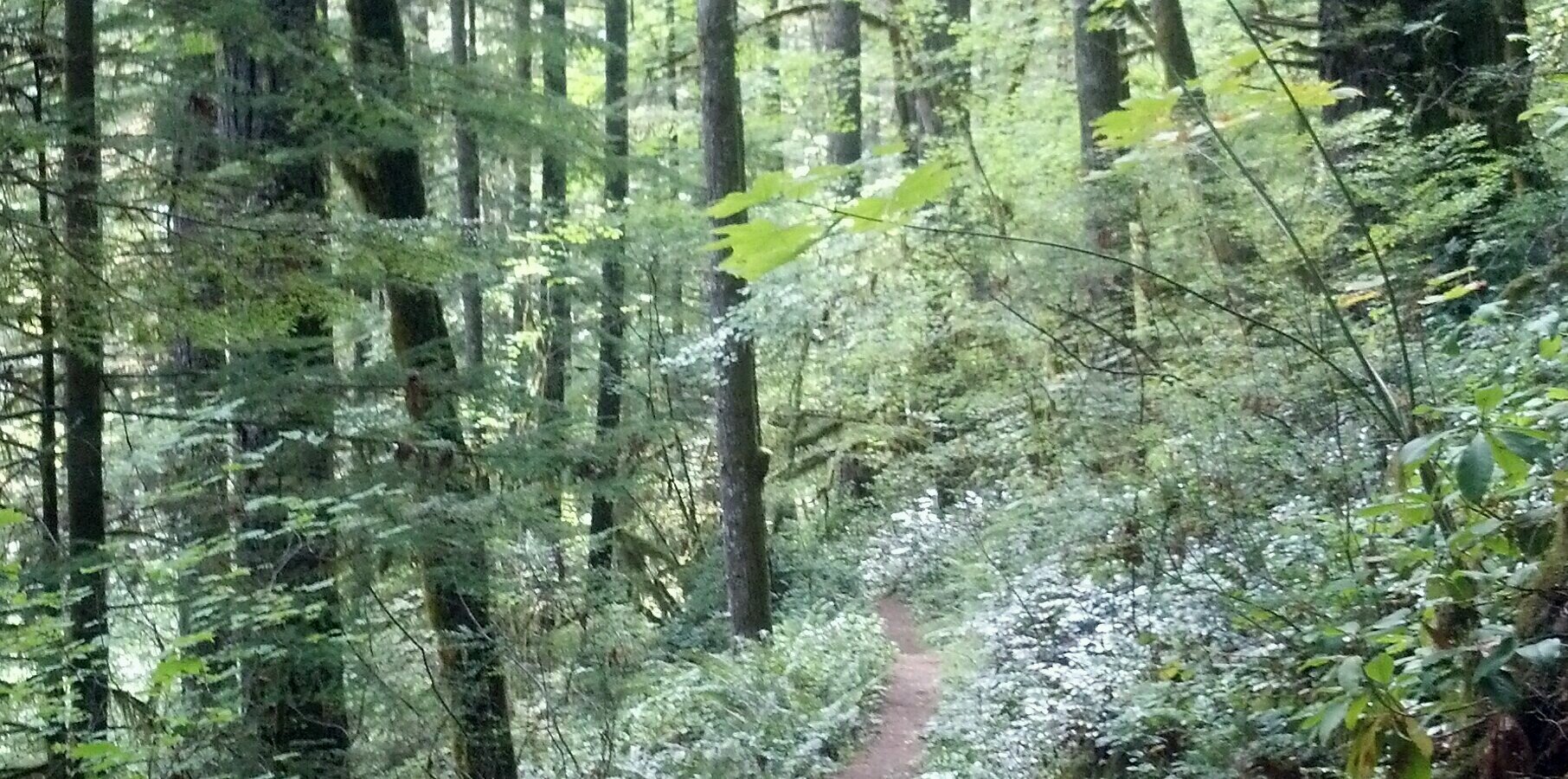 Courtney Farrell banner