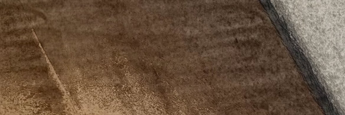 léo banner