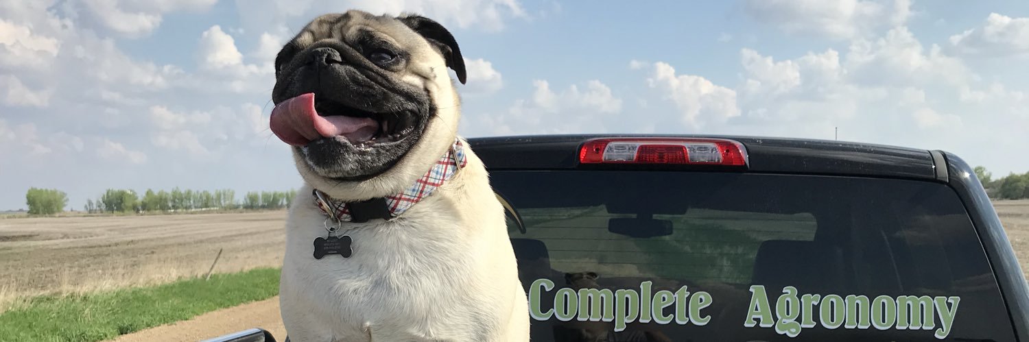 charles_pug's profile banner image