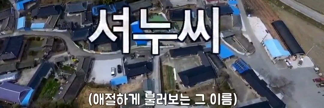 jinyounae's profile banner image