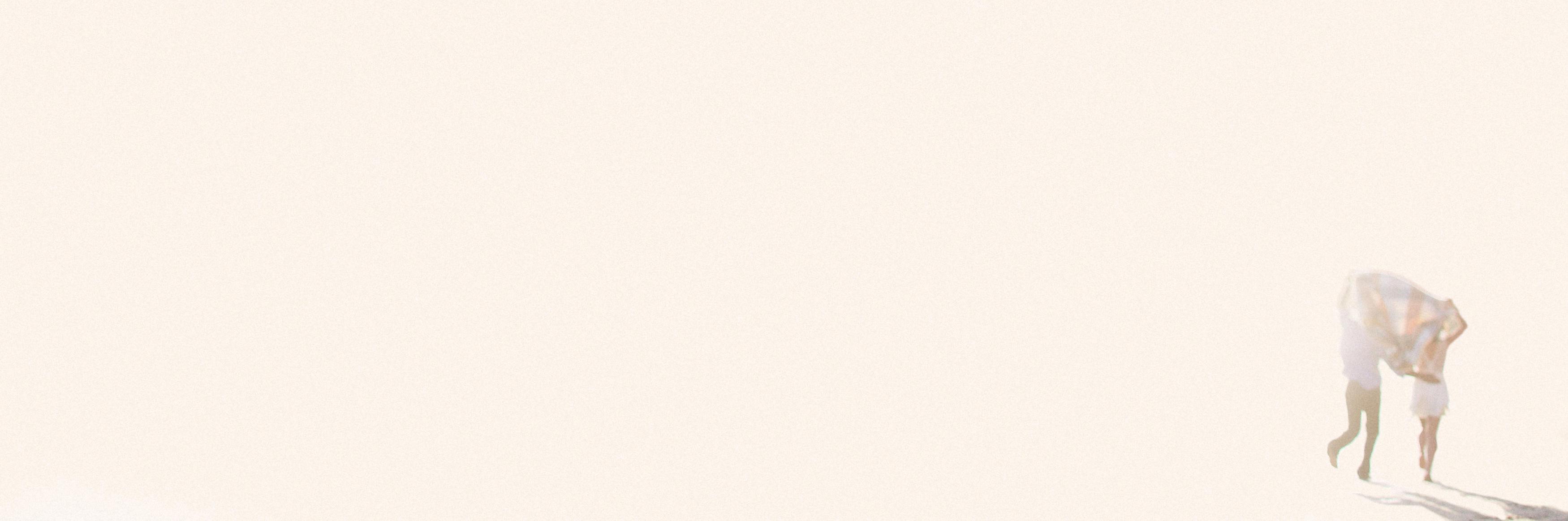 BrownSparrowWed's profile banner image