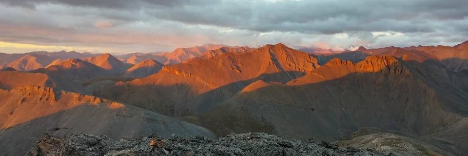 abbeyalaska's profile banner image