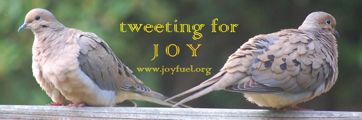 joyfuelforall's profile banner image