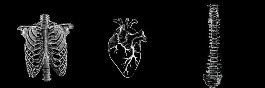 joguzman233_'s profile banner image