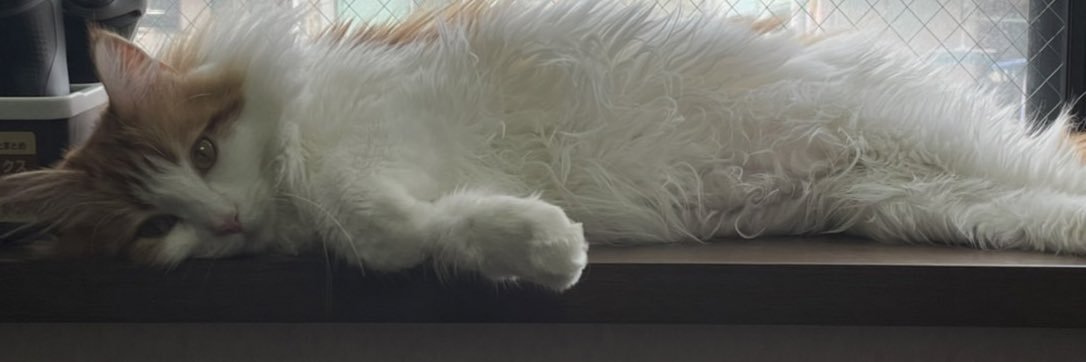 from_eorzea's profile banner image