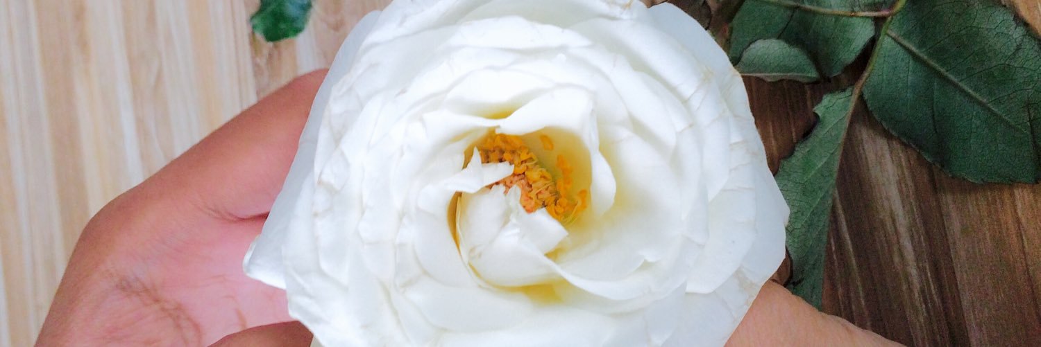 seanneshine's profile banner image