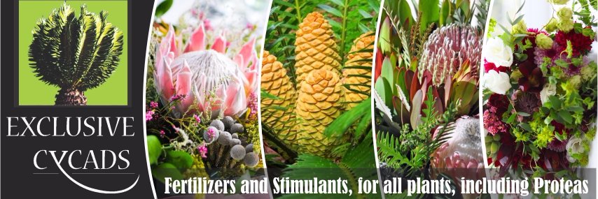 ExclusiveCycad's profile banner image