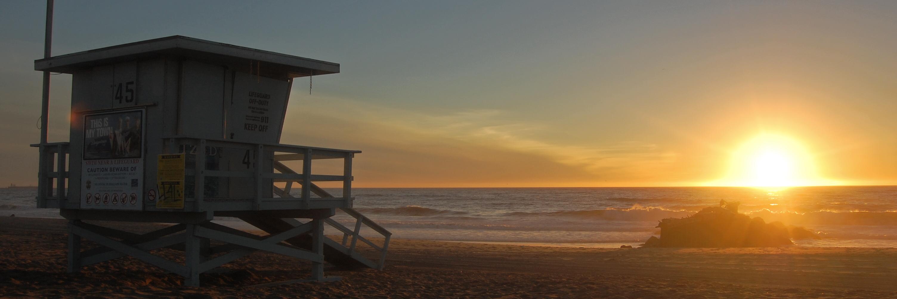 Patrick Sandle banner