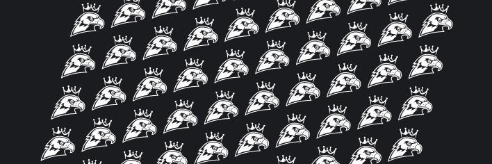 White Eagles Pub banner