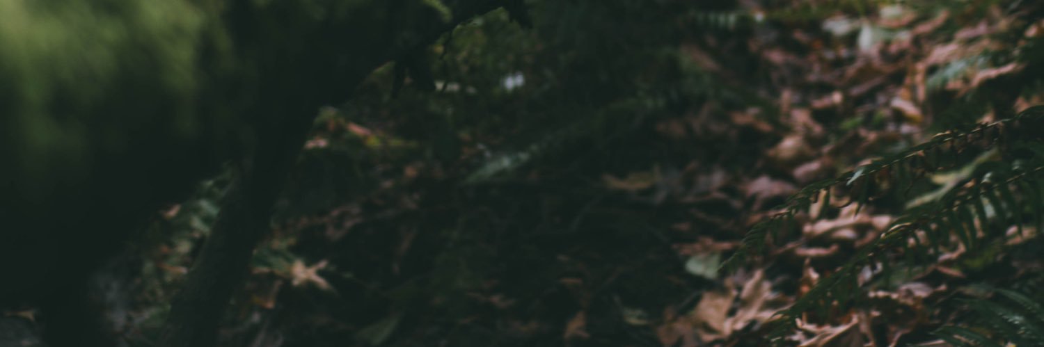 Gorgon Hermit 🍉 banner