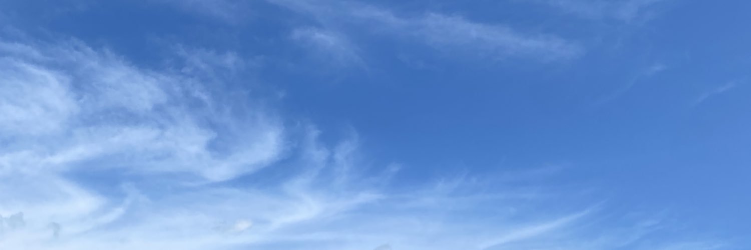 gnmic81's profile banner image