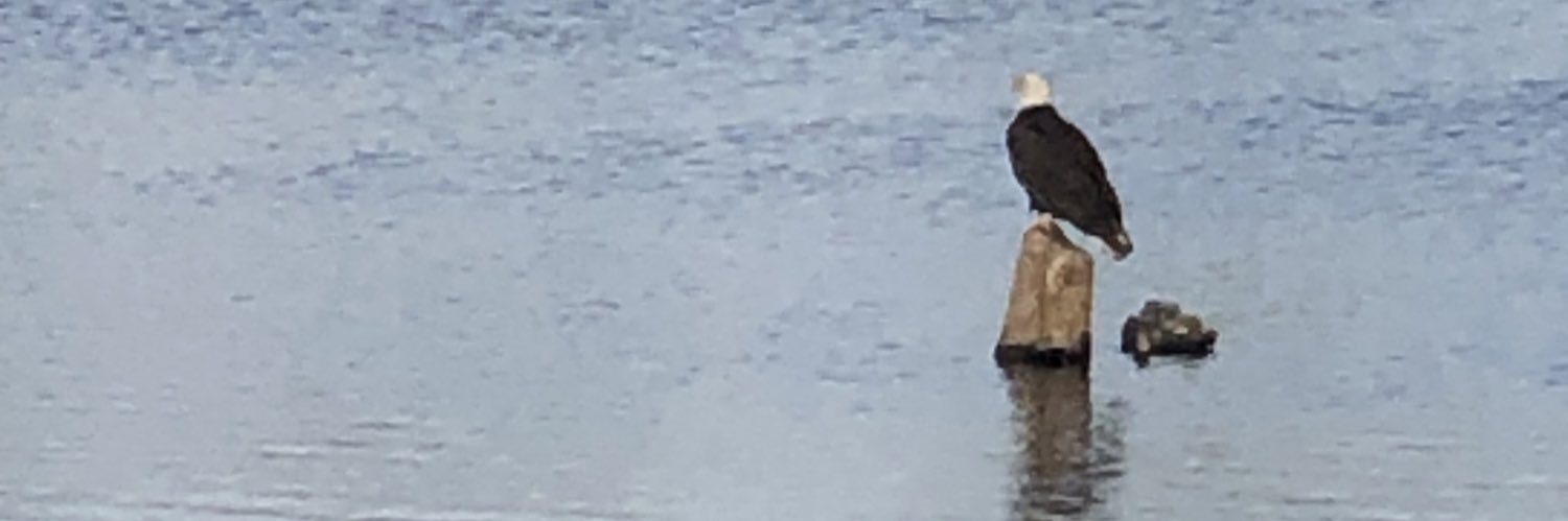 Blue Horseshoe banner