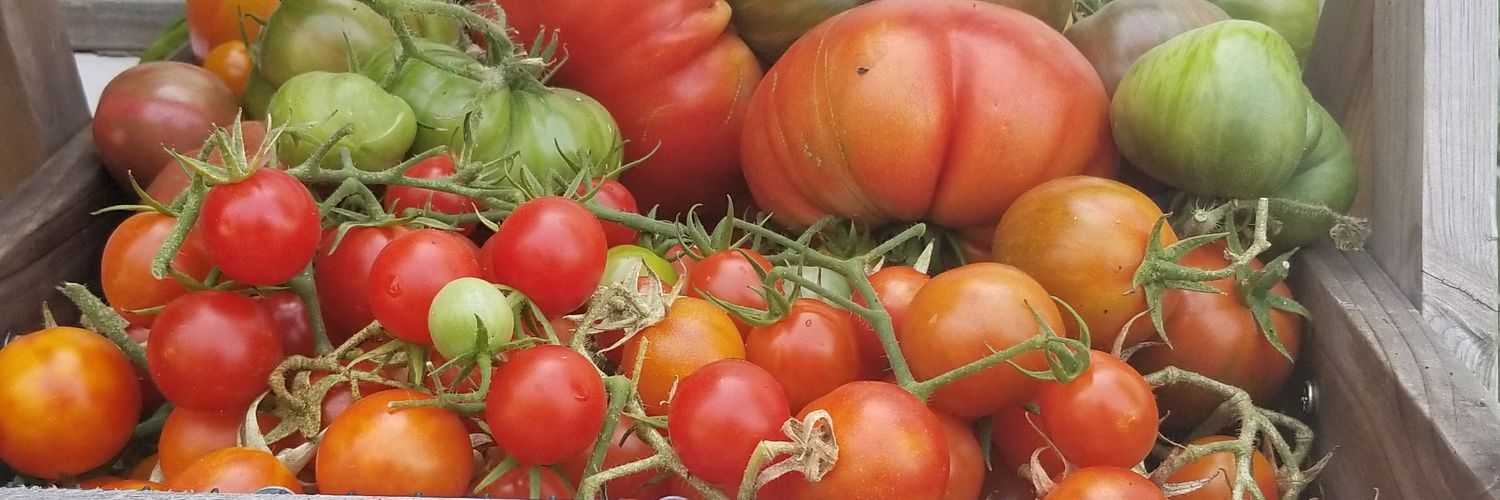 califarmer_andy's profile banner image