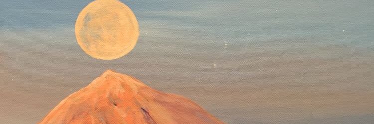 nessars_'s profile banner image