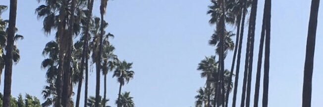 MookeDaGod's profile banner image
