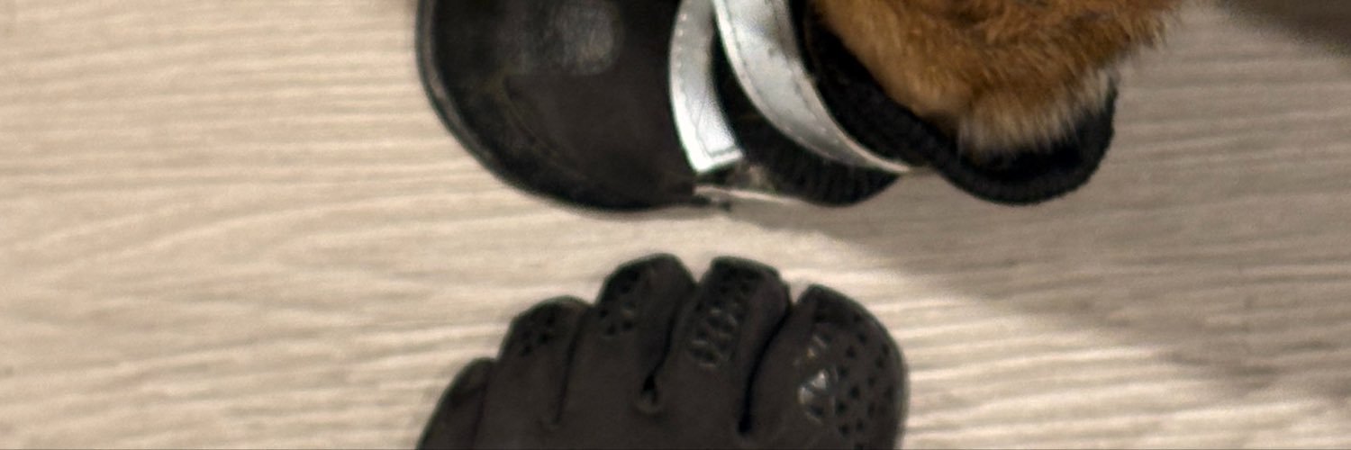 malin_alinn's profile banner image
