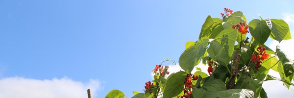 LocalFoodHuw Profile Banner