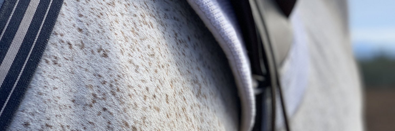sallyspickard's profile banner image