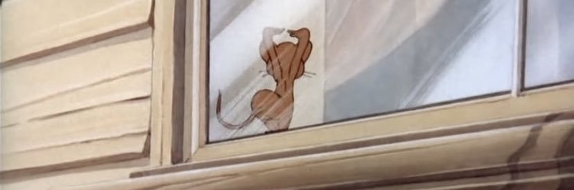 whats_cucci's profile banner image
