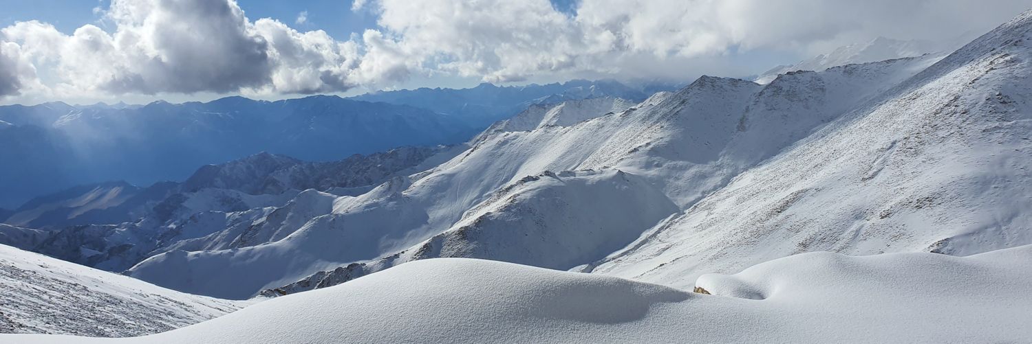 wdkapp's profile banner image
