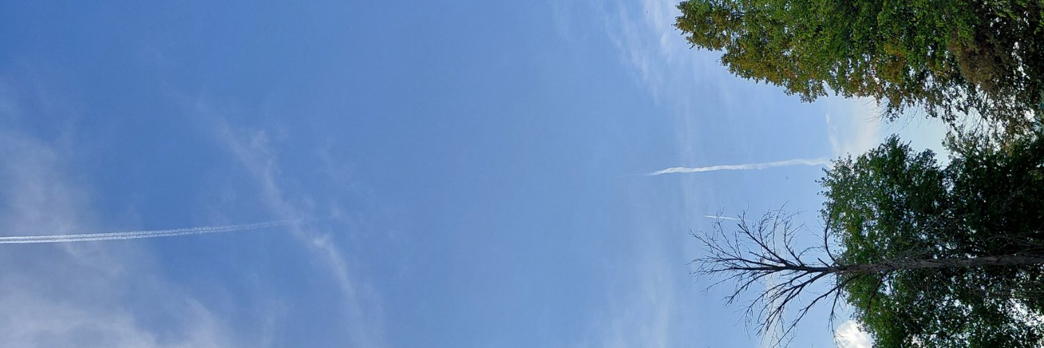 Elbeet0's profile banner image