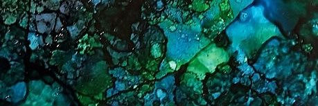 rayvin0119's profile banner image