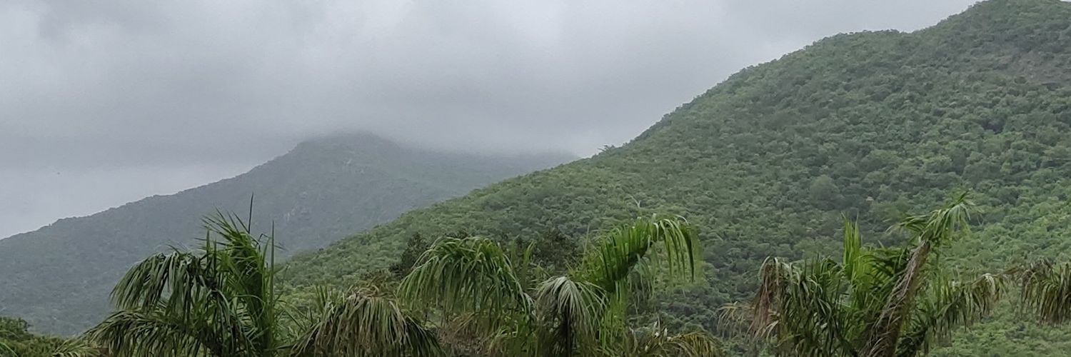 mLivingA's profile banner image