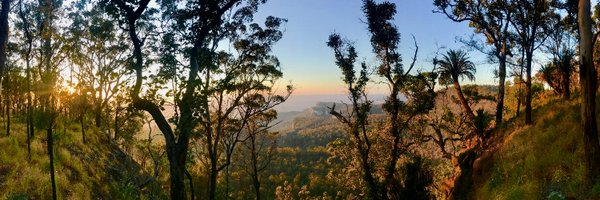 KateGrarock Profile Banner